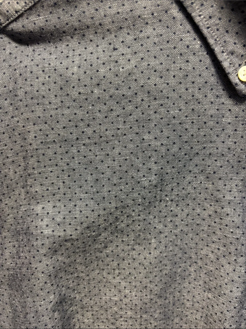 Banana Republic Slim Fit Button-Up in Light Blue with Navy Dots
